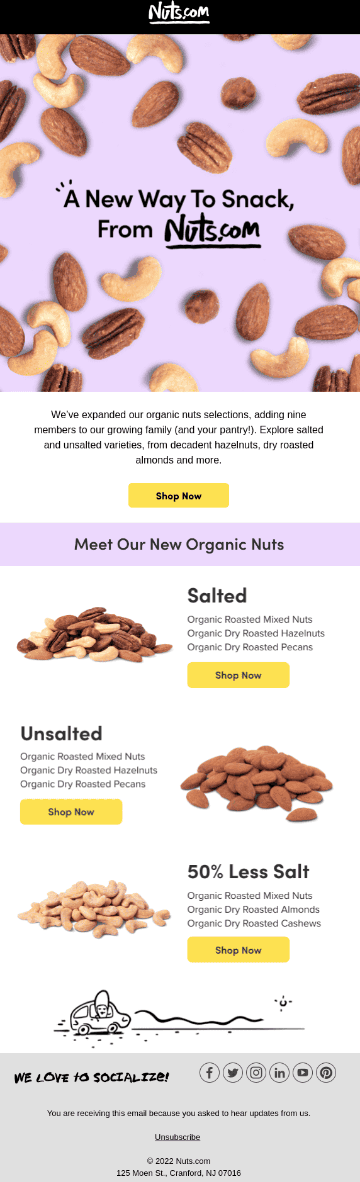 New product or category launch email example for eCommerce